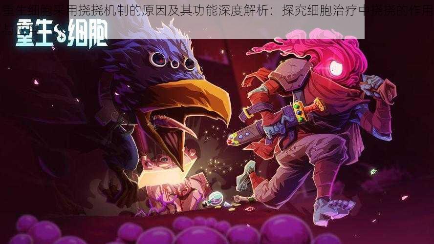 重生细胞采用挠挠机制的原因及其功能深度解析:探究细胞治疗中挠挠的作用与应用