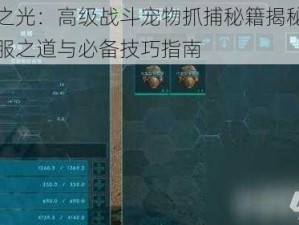 黎明之光：高级战斗宠物抓捕秘籍揭秘：专属驯服之道与必备技巧指南