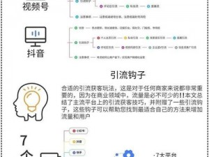 seo短视频网页入口引流(seo 短视频网页入口引流的方法有哪些？)