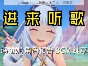 bgmbgmbgm 胖老太太东北，纯享版