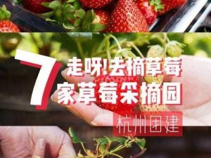 蔚蓝第三章A面草莓位置揭秘：独家攻略带你探寻草莓宝藏之地