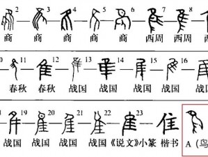 关于汉字进化的探索：嘦字中寻觅17个字的奥秘