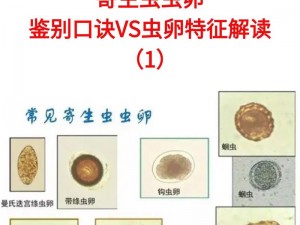 肚子里面被产满了虫卵魔化，寄生虫危机