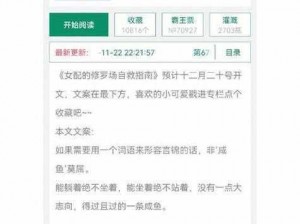 优质 rb 攻略系统游戏小说：攻略游戏世界，成就巅峰王者