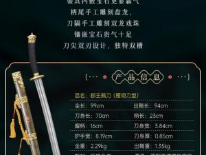 剑侠客武器揭秘：刀剑鞭杖皆能驾驭之技艺精髓