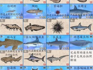 深海奥秘：探索光影交织的海洋世界图鉴