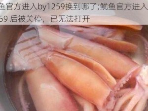 鱿鱼官方进入by1259换到哪了;鱿鱼官方进入 by1259 后被关停，已无法打开