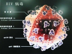 口袋妖怪病毒机制解析：病毒技巧实战指南与应用研究