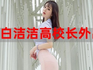 白洁高义 85，品质卓越的创新产品，你值得拥有