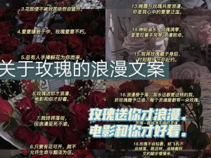 情人节玫瑰花的多重利用：创意无限，爱意延续不息的再利用方案