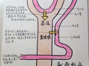 拘束改造尿液转变成电流 如何通过拘束改造使尿液转变成电流？