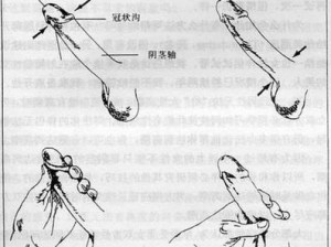 强壮公一次一次把我送上高潮是一款性用品，具有超强延时效果