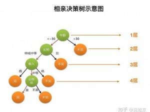 非匿名指令攻略：椿命运抉择之路——决策指南与选择策略探讨