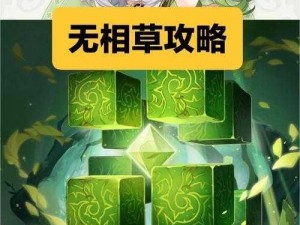 原神攻略揭秘：无相之草打法机制深度解析与实战技巧分享