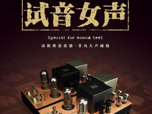 声声入魂hifi女声cd【声声入魂 hifi 女声 cd：极致享受的音乐之旅】