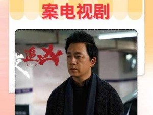 疑案追声真相揭秘：官方终极答案揭晓时刻