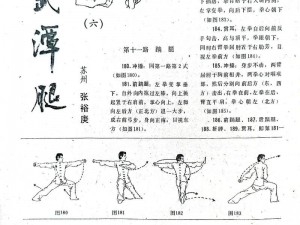 楚留香传人：深度解读少林特技选择推荐及训练秘籍