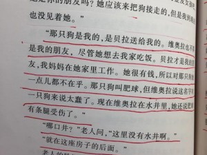 家族里的共用小座娃小说古代之温馨亲子互动篇