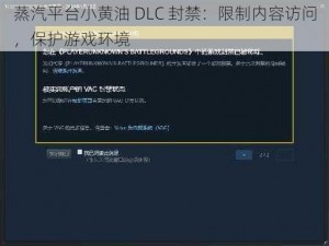 蒸汽平台小黄油 DLC 封禁：限制内容访问，保护游戏环境