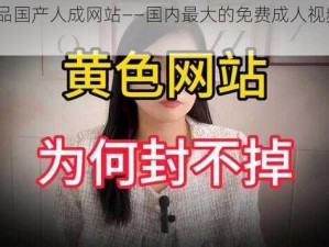 91 精品国产人成网站——国内最大的免费成人视频分享平台