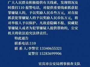 官方发布悬赏通告：全城追捕重要犯罪嫌疑人，悬赏高额奖金寻求线索，全力维护社会安全稳定