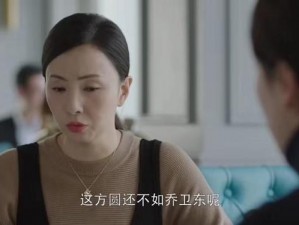 乔卫东爆炒董文洁：美味又营养的家常菜