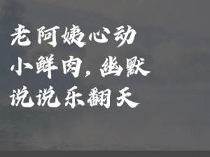 老阿姨小鲜肉最经典十首歌曲，首首动听，款款深情