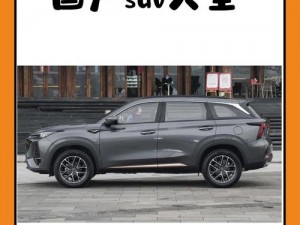 国产一级 suv 好看的，空间宽敞动力强，智能驾驶更安全