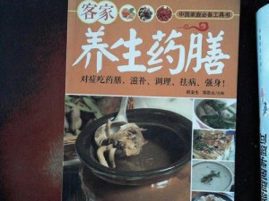 《凌云诺药膳全攻略：轻松制作与体验》