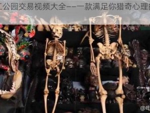 农民工公园交易视频大全——一款满足你猎奇心理的视频产品