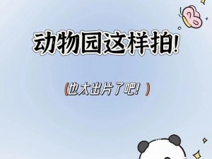 疯狂动物园拍照新技巧：教你轻松变换角度捕捉精彩瞬间