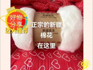 中国新疆优质棉花制成的柔软舒适的 19Dfm 产品