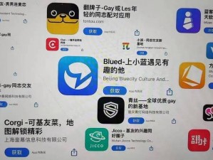 国产 ChinaGAyGAy 网站是一款面向同志群体的交友软件