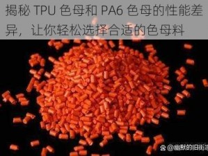 揭秘 TPU 色母和 PA6 色母的性能差异，让你轻松选择合适的色母料