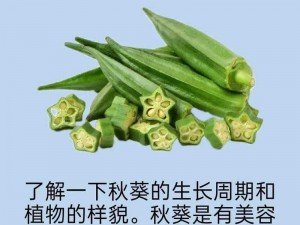 秋葵茄子丝瓜香蕉榴莲2021_秋葵茄子丝瓜香蕉榴莲 2021，它们之间有什么共同点？