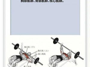 会夹会摇怎么练：简单易学的健身动作