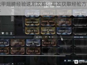 星际战甲翅膀经验速刷攻略：高效获取经验方法与技巧解析