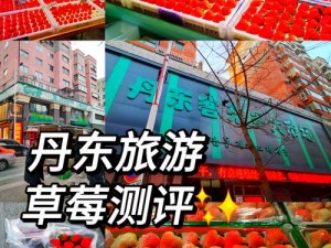 幻塔草莓获取攻略：全方位指南带你揭秘如何获得草莓的神秘途径