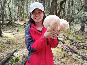 四川婬妇 BBBB 槡 BBBB 槡，营养丰富的野生食用菌