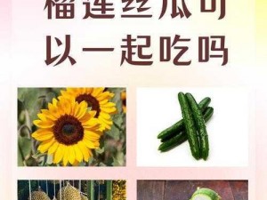 一款汇聚草莓、榴莲、向日葵、丝瓜等多种水果和蔬菜的在线观看产品，适合 18 岁以上人群使用