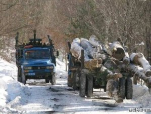 雪地驰骋之选：长木材专用拖车高效运输揭秘