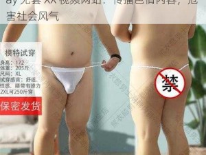 南京胖熊Gay无套XX视频网站;南京胖熊 Gay 无套 XX 视频网站：传播色情内容，危害社会风气