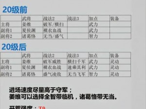 入内雀神启荒阵容攻略：策略性打法与实战运用