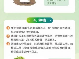 新手指南：老农种树速成宝典，新手如何轻松上手种植技艺