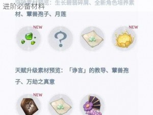 原神提纳里突破材料详解：全面一览突破素材及进阶必备材料