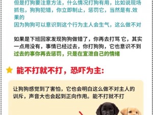 当狗狗犯错，主人会如何教训它？