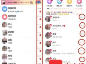 一款提供一对一私密色情聊天服务的社交 APP