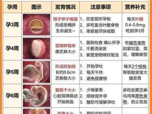 产子岛～每周怀孕生育 7 次：高效受孕、定制宝宝，产子岛助您实现家庭梦想