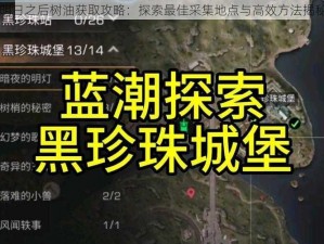 明日之后树油获取攻略：探索最佳采集地点与高效方法揭秘