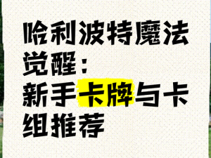 哈利波特魔法觉醒：多比毒钩卡组搭配攻略——构建高效与策略性共存的卡组组合之道